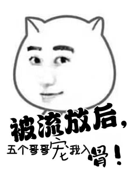 被流放后,五个哥哥宠我入骨!